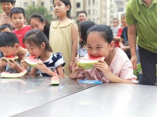 物业像吃瓜群众,揭秘吃瓜群众眼中的物业众生相