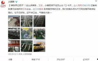 吃瓜群众最牛的直播,揭秘幕后故事，带你领略直播魅力