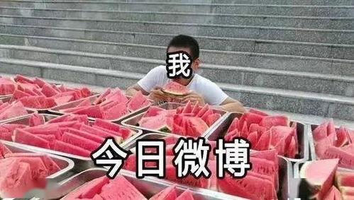 吃瓜群众开始坐不住了吗,坐不住的瓜田，谁将引爆下一波热点？