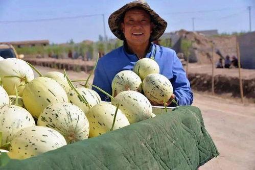 只想当吃瓜群众的说说,旁观者的轻松解读