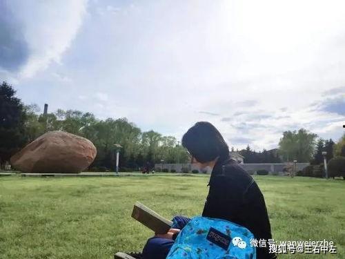 法治吃瓜群众岱岱,揭秘网络舆论场中的法治精神