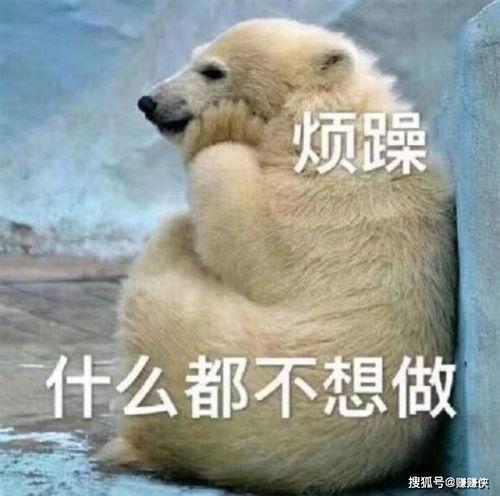 冷静吃瓜群众图片大全,揭秘网络围观背后的心理奥秘