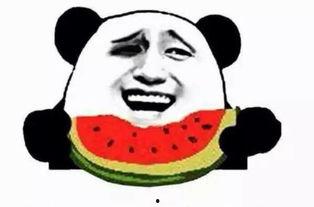 吃瓜群众阿慧子