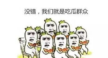 吃瓜群众正确打开方式,轻松围观，理性评论