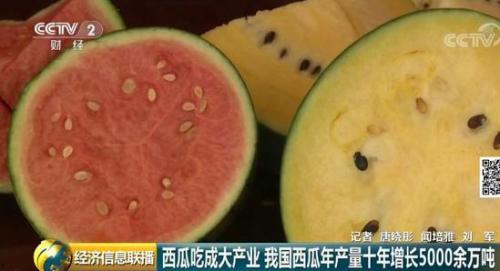 我国吃瓜群众,揭秘我国“吃瓜群众”的趣味生活与独特文化