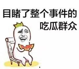 吃瓜群众的陷阱,如何避免成为“瓜农”