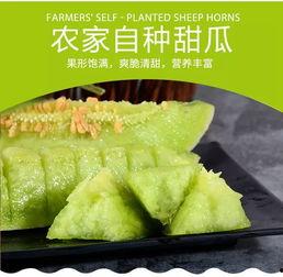 做一名吃瓜群众的意思,网络时代的旁观者与评论家