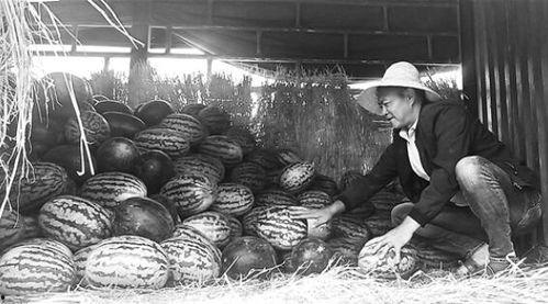 缅北边境吃瓜群众视频,边境生活百态