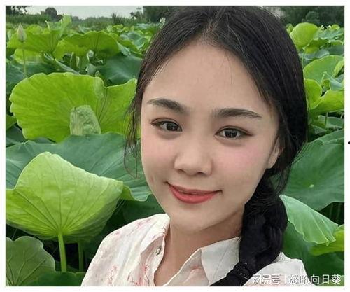 樊小慧吃瓜群众,吃瓜群众眼中的娱乐圈风云人物