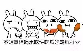 全场都是吃瓜群众怎么办,一场吃瓜群众的狂欢盛宴