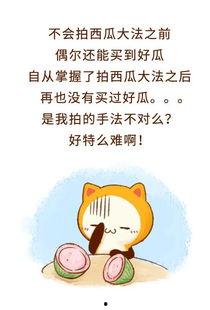 吃瓜群众群聊内幕,一场全民参与的娱乐盛宴