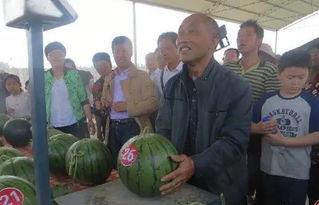 裕华区吃瓜群众事件真相,真相与反思